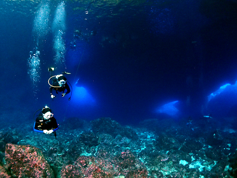 다이빙 하는 사진