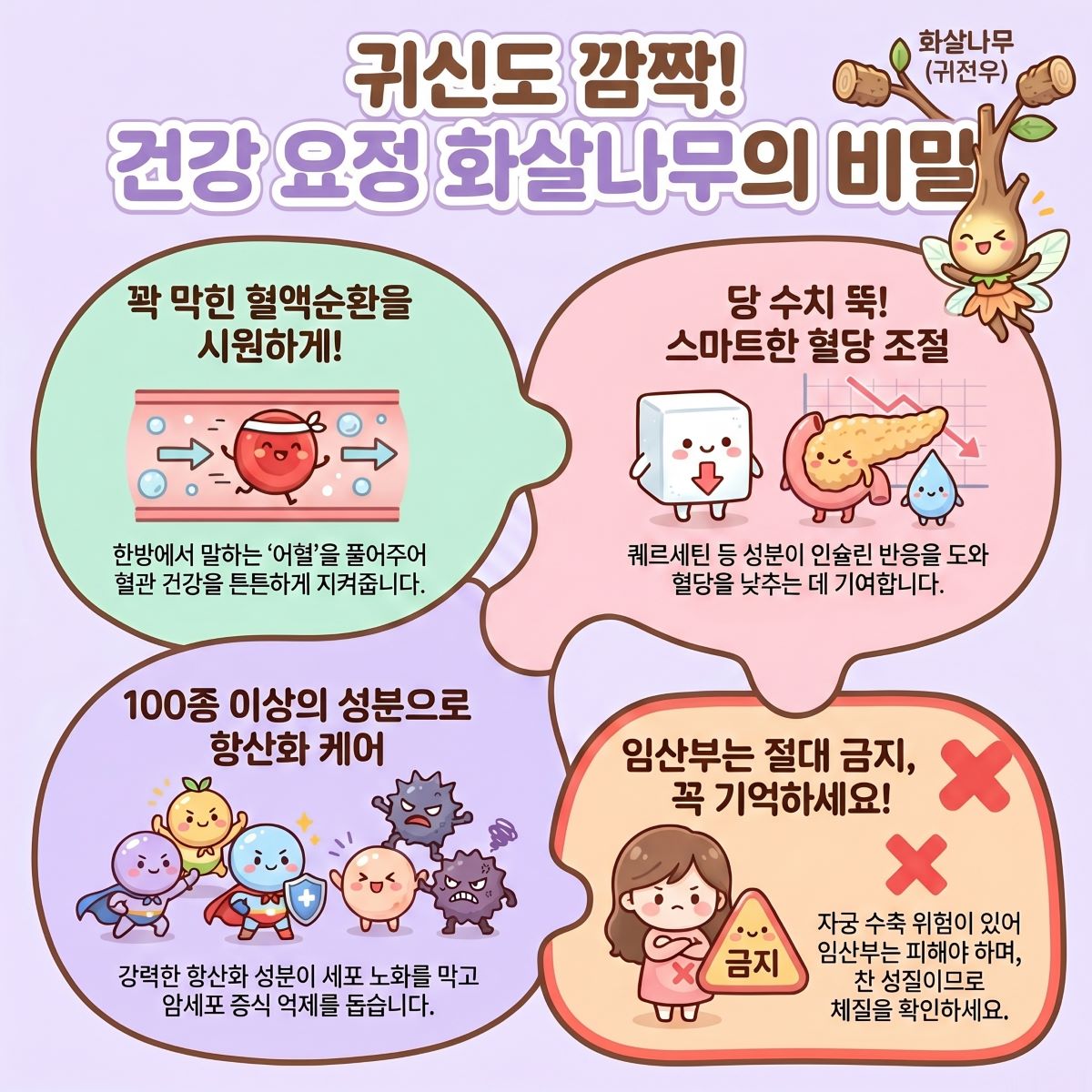 화살나무(귀전우)의 3대 효능과 임산부 섭취 주의사항을 설명하는 인포그래픽입니다.