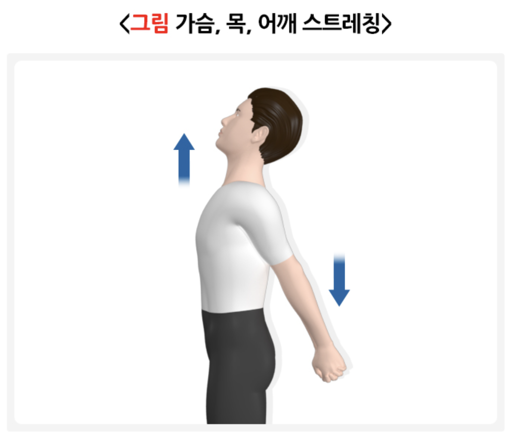 가슴, 목 스트레칭