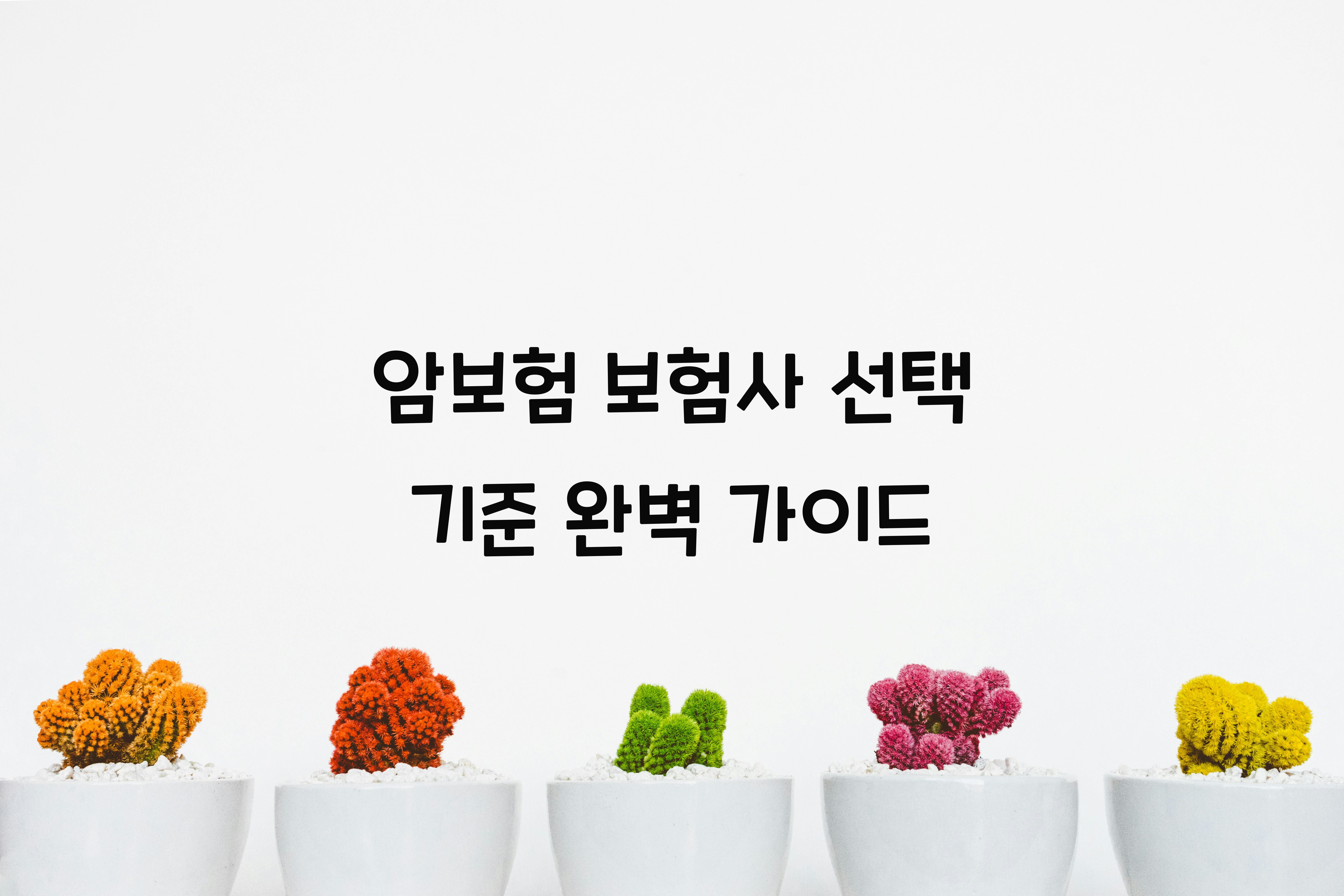 암보험 보험사 선택 기준