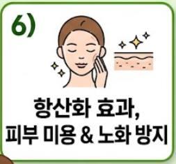 표고버섯 효능