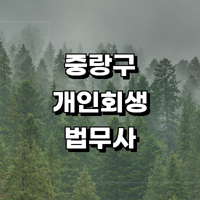 서울 중랑구 개인회생 법무사