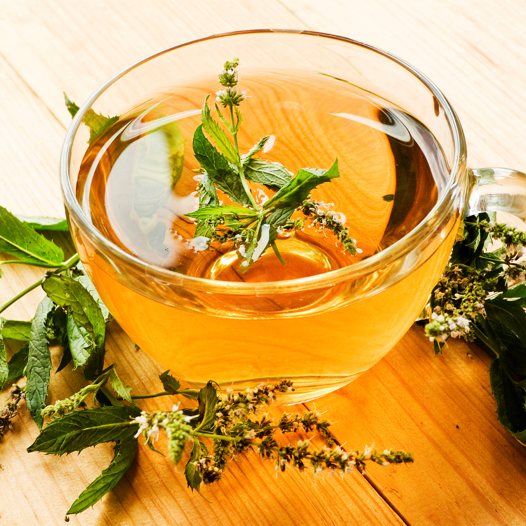 카페인 없는 차 BEST 7 추천