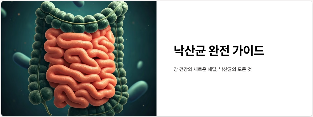 낙산균이란? 효능, 부작용, 복용 방법!