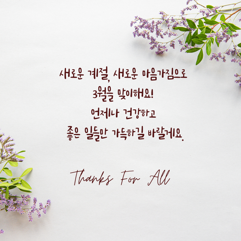 3월 인사말 문구 이미지 모음집