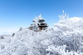겨울에 꼭 가야 할 국내 여행지 BEST 5 