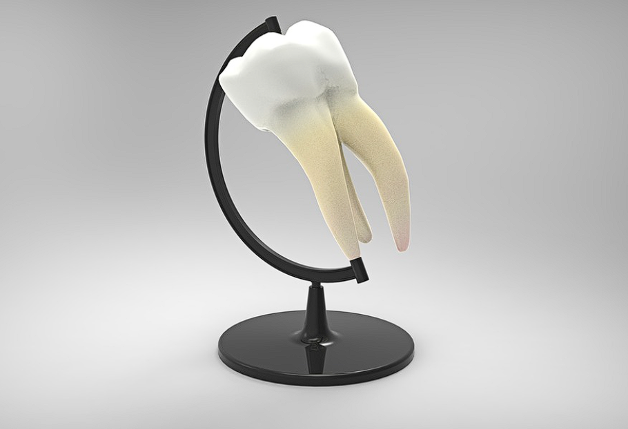 치아보험 면책기간