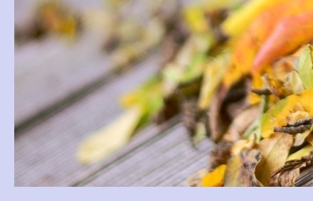 대상포진 치료방법