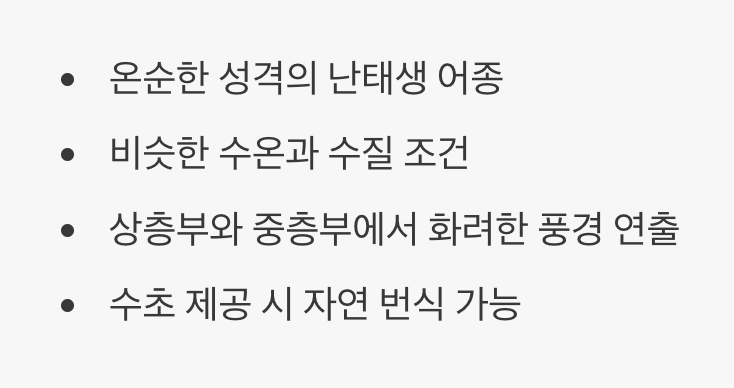 BEST 1: 영혼의 단짝, 구피 & 플래티