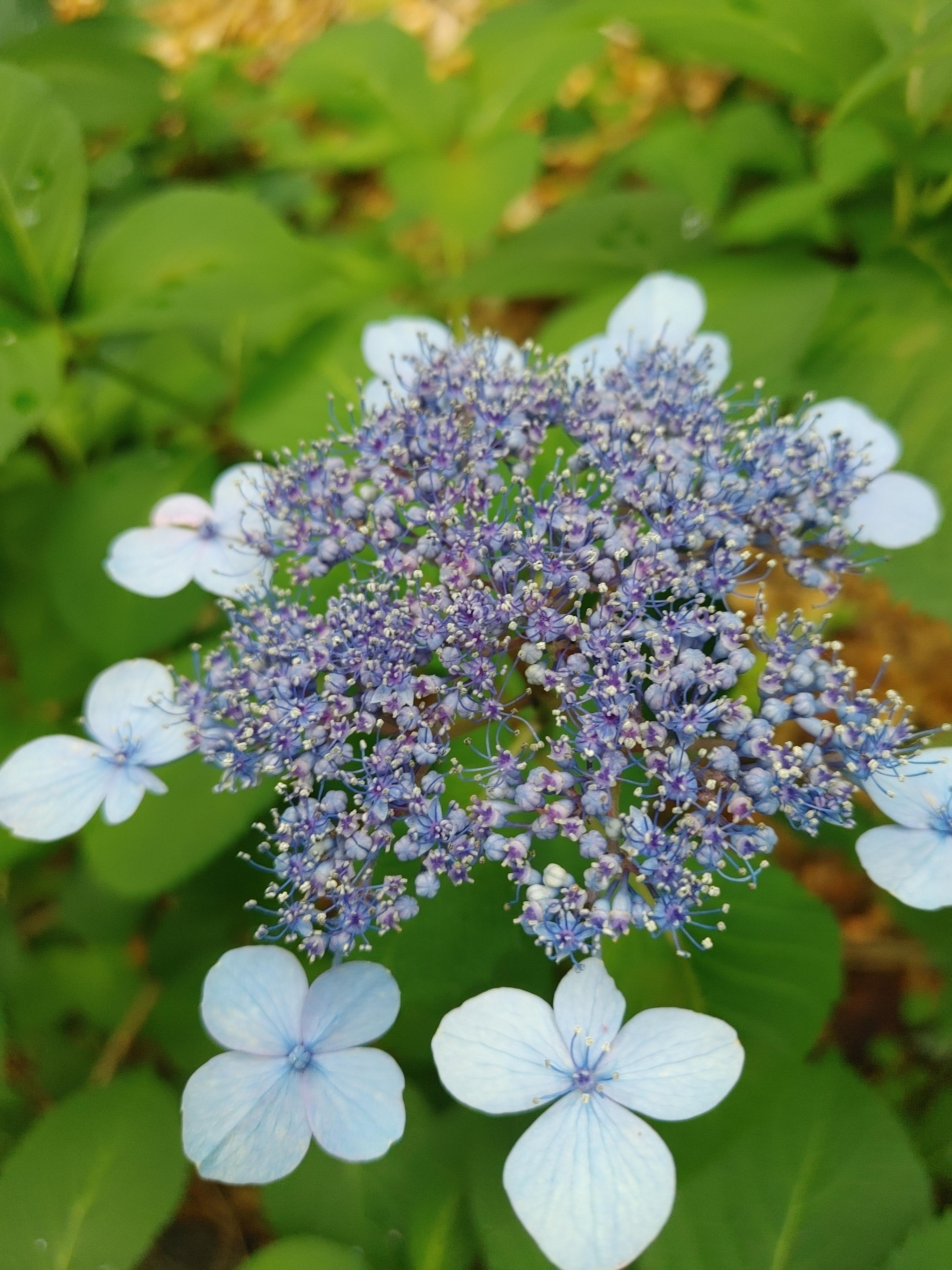 화담숲 예약방법 총정리!
