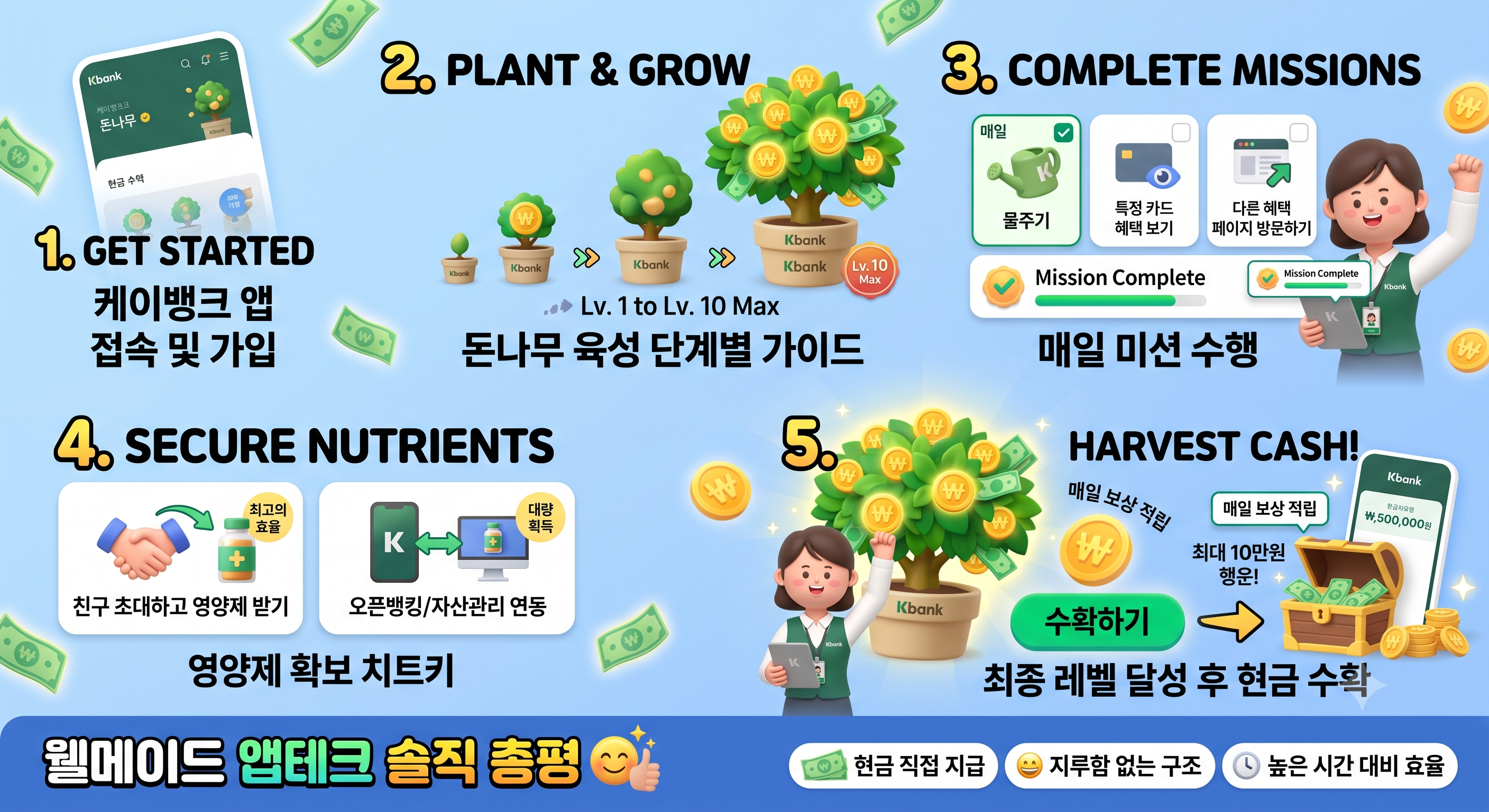 돈나무 육성 단계별 매뉴얼