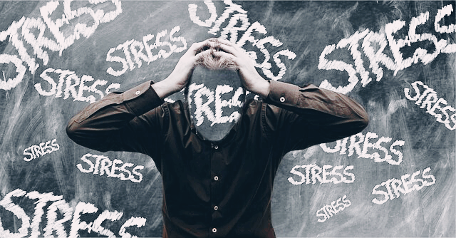스트레스가 인간의 뇌와 몸에 미치는 영향과 효과적인 관리법