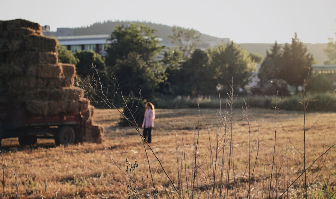 Urban Agriculture