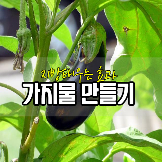 가지물 만들기