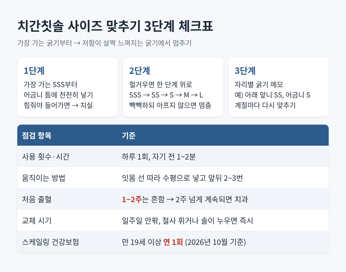 치간칫솔 사이즈 맞추기 3단계 체크표: SSS부터 한 단계씩 올리기, 하루 1회 1~2분, 출혈 1~2주, 교체 일주일, 만 19세 이상 스케일링 연 1회