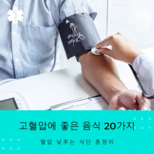 고혈압에 좋은 음식 20가지