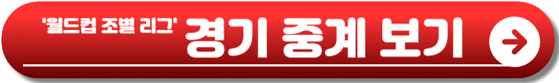 월드컵 조별리그