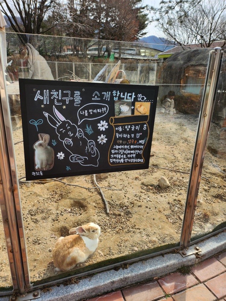 토끼