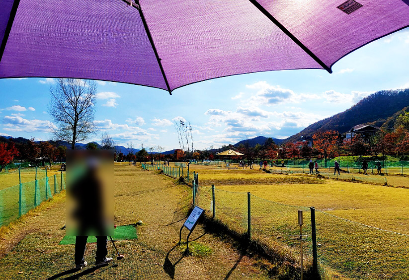 경기도 가평군 대성리 '가평파크골프장' 가을 정취