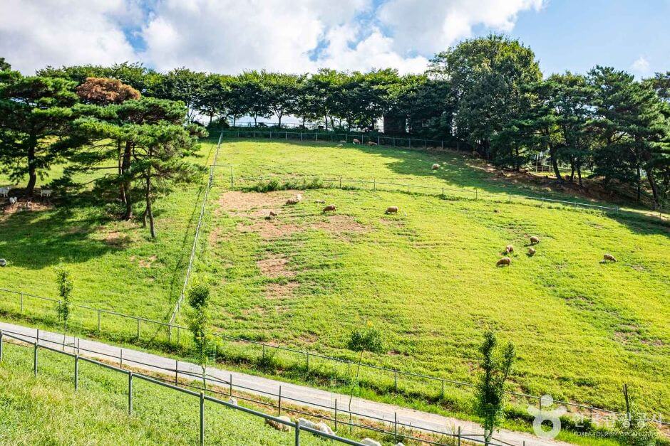 칠곡 가볼만한곳 베스트 10