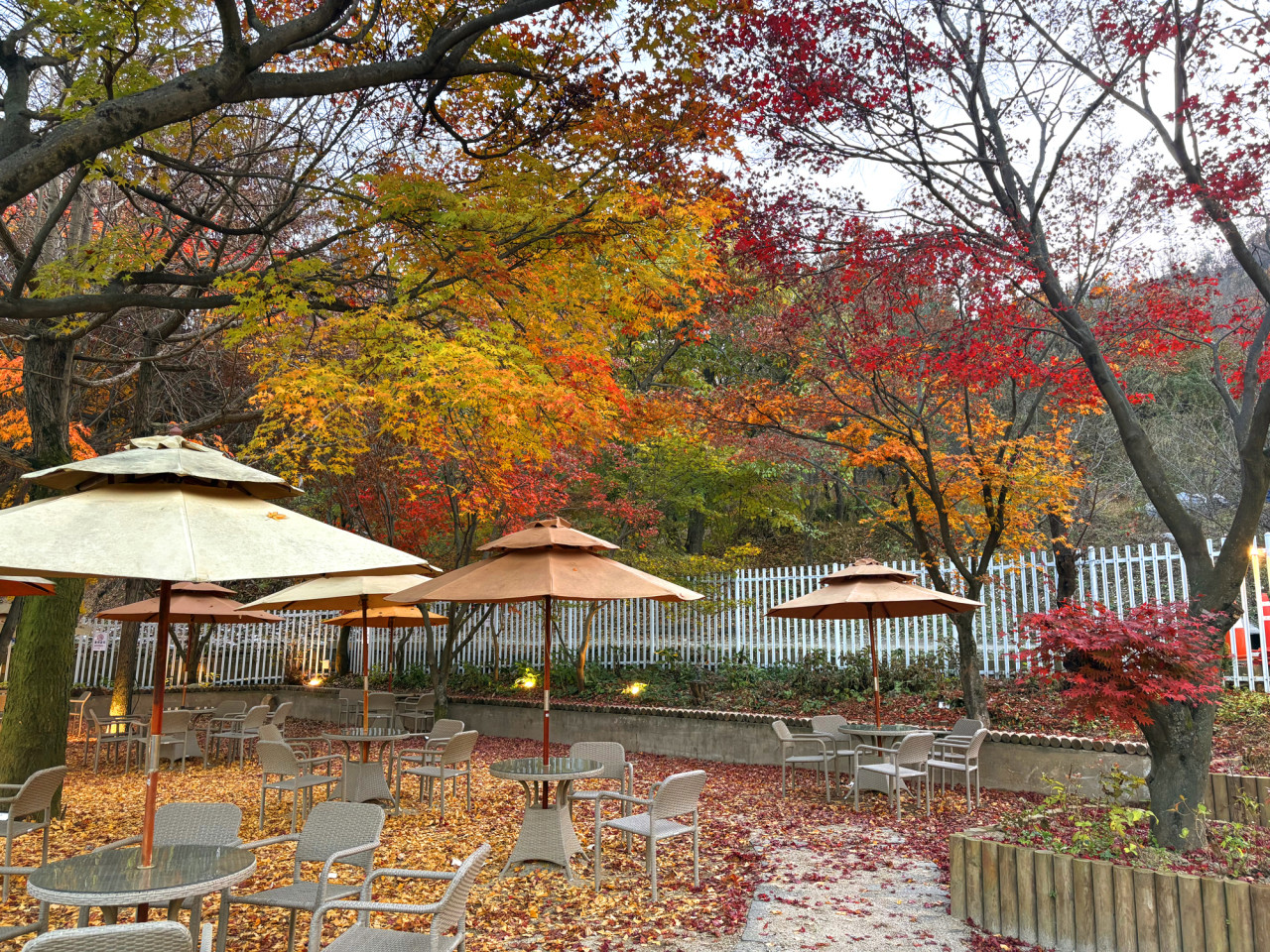 카페 라플렌