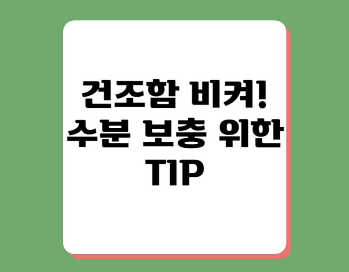 겨울철 피부 보습 관리