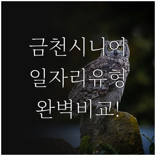 금천시니어클럽 공익활동 사회서비스형 ..