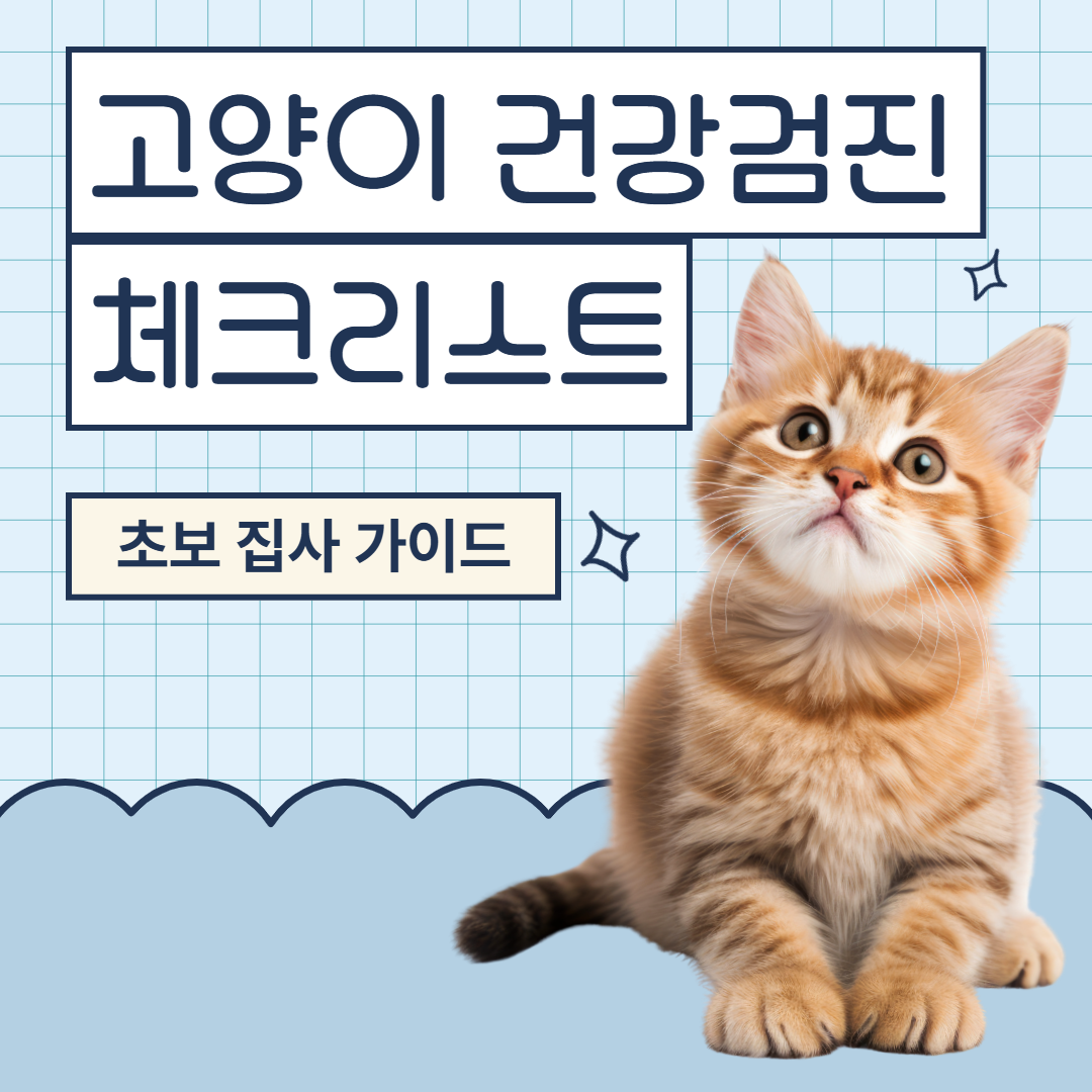 고양이 건강검진