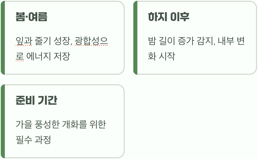 한여름의 조용한 준비