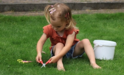 2025 손주 돌봄수당 신청