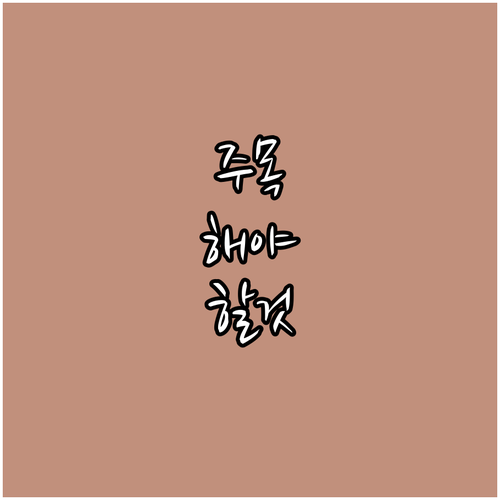 2025 전라남도 5.18 유공자 장..