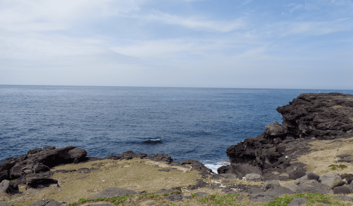 제주_렌트카_비교사이트_31