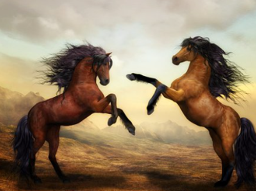 말 두마리가 두발을 들고 있는 모습