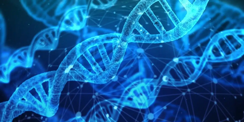 신경DNA