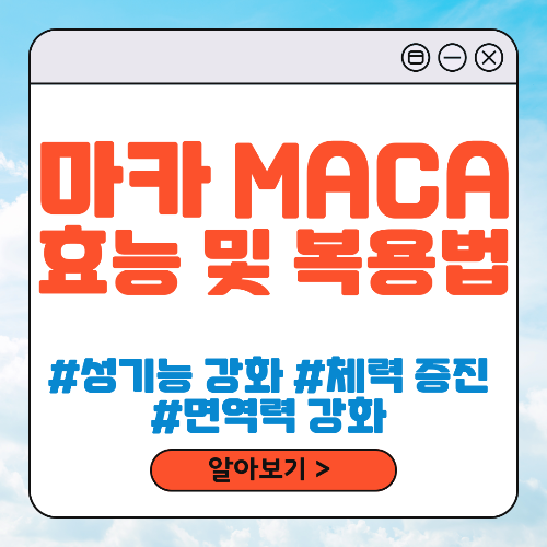 마카 효능 및 복용법