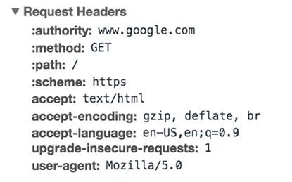 Google Chrome Request Header