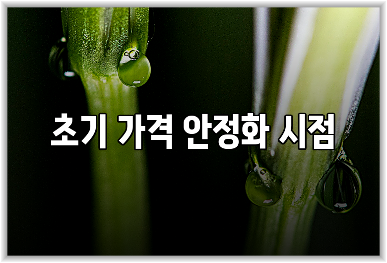 초기 가격 안정화 시점