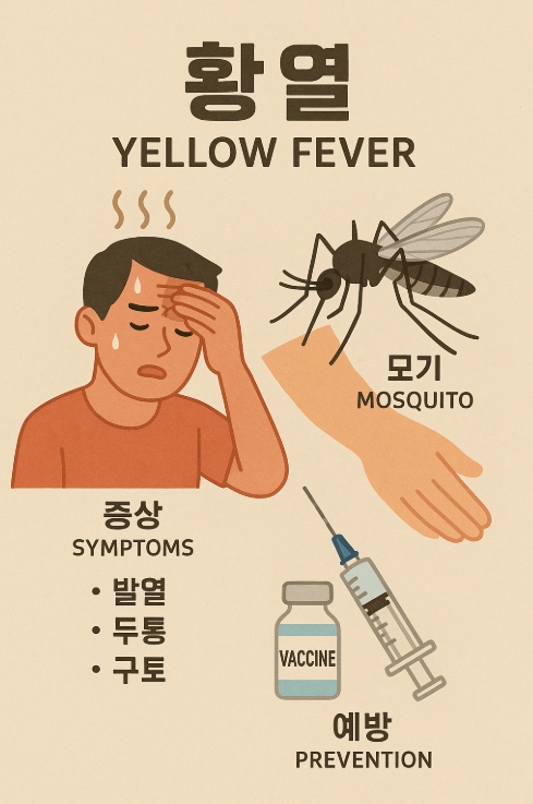 황열 관련 자료 사진
