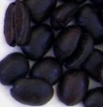 이탈리안 Italian