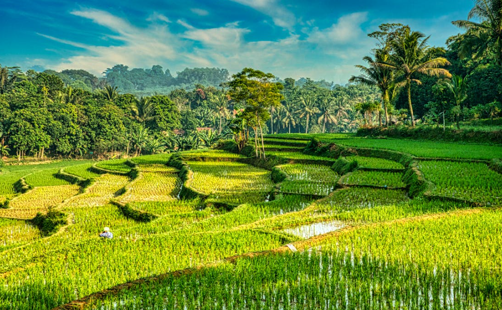 발리 추천 여행지