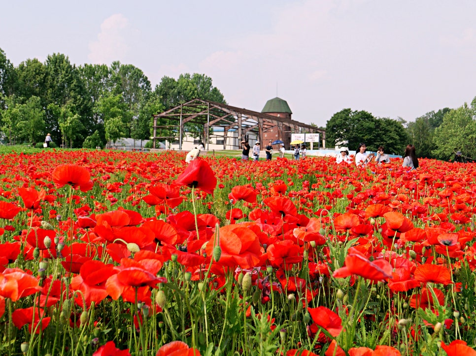 수원 탑동시민농장