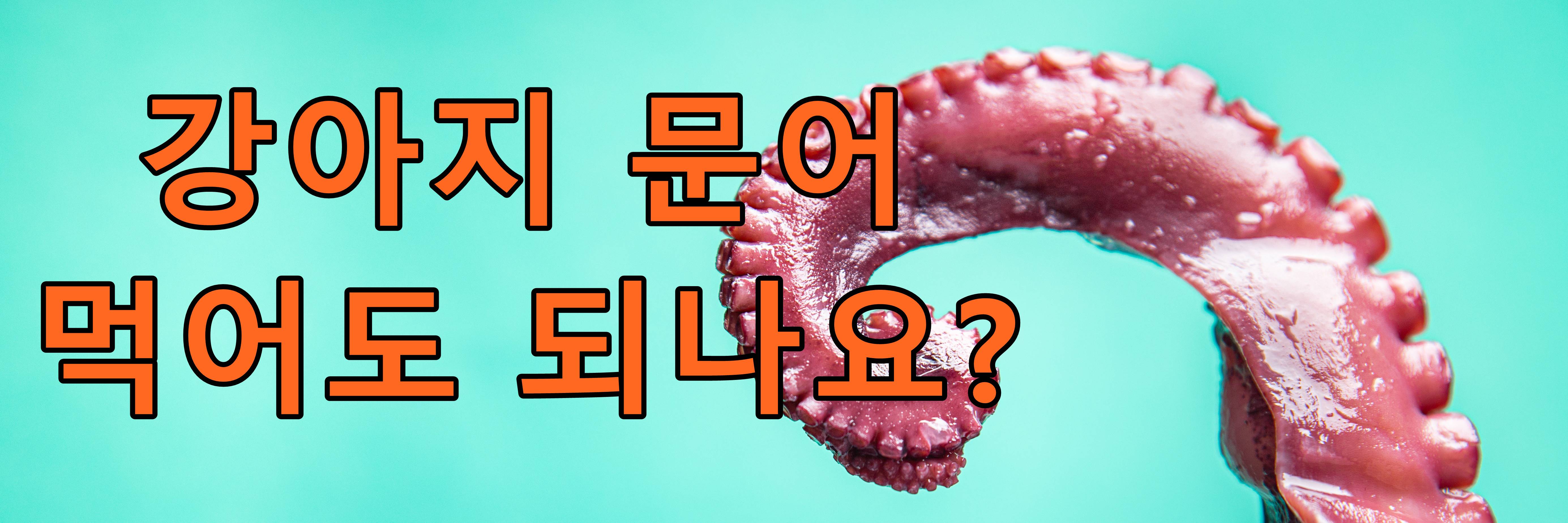 강아지 문어 먹어도 되나요?