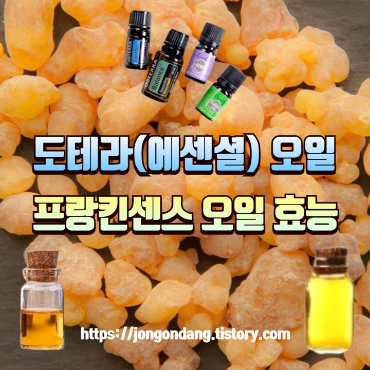 도테라(에센셜) 오일, 프랑킨센스(보스웰리아, 유향) 오일의 효능 이미지