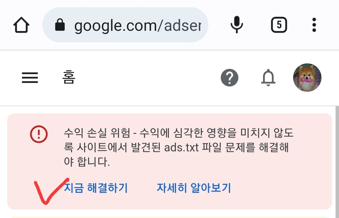 지금해결하기 클릭