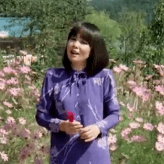 김상희 - 코스모스 피어있는 길