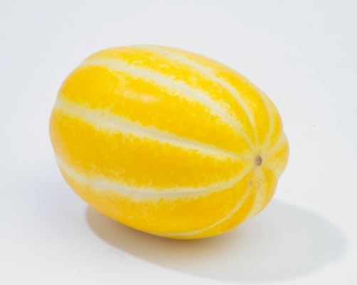 7월 제철음식