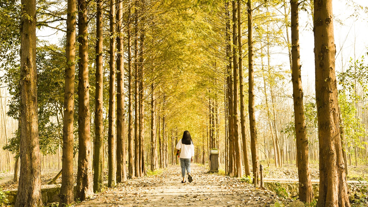 나무가 줄지어 서 있는 공원 혹은 숲 속. 길을 따라 걸어가고 있는 여성의 뒷모습. 내면아이를 만나러 가는 길.