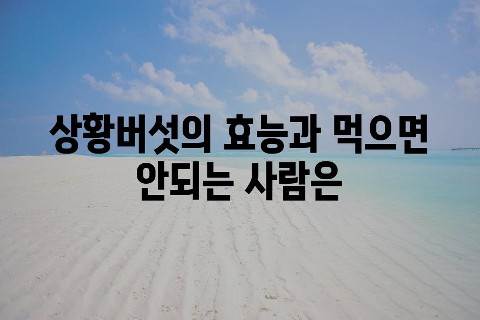 샘플 (83)
