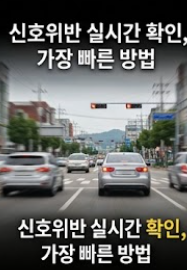 신호위반 실시간 조회 가장 빠른 방법 문구가 적힌 썸네일 이미지