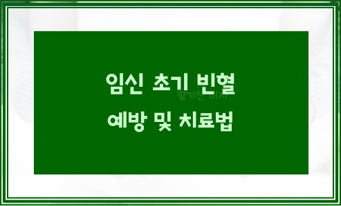 임신 초기 빈혈 예방 및 치료법